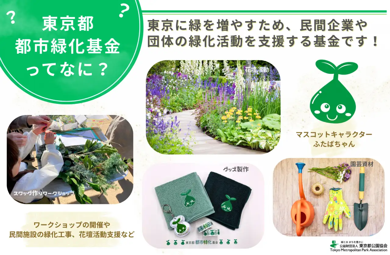 img_midori_top