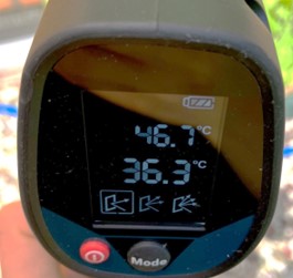 250815ゴーヤ温度測定