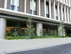 九段坂病院