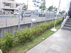サンライズむつみ橋・サンライズ小川外観