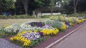 おもてなし花壇の設置