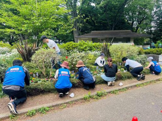 PM植付け作業