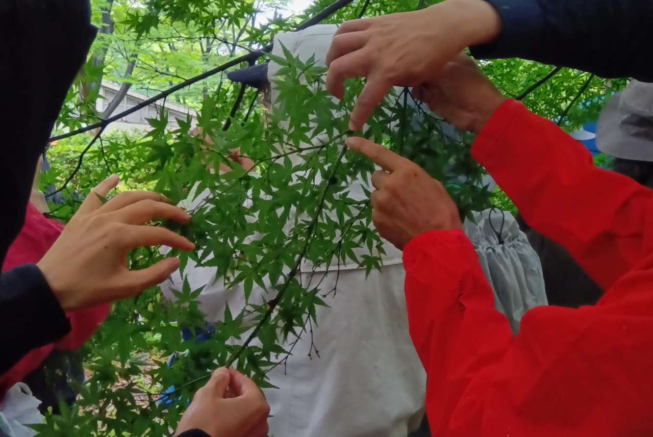 楽しそう