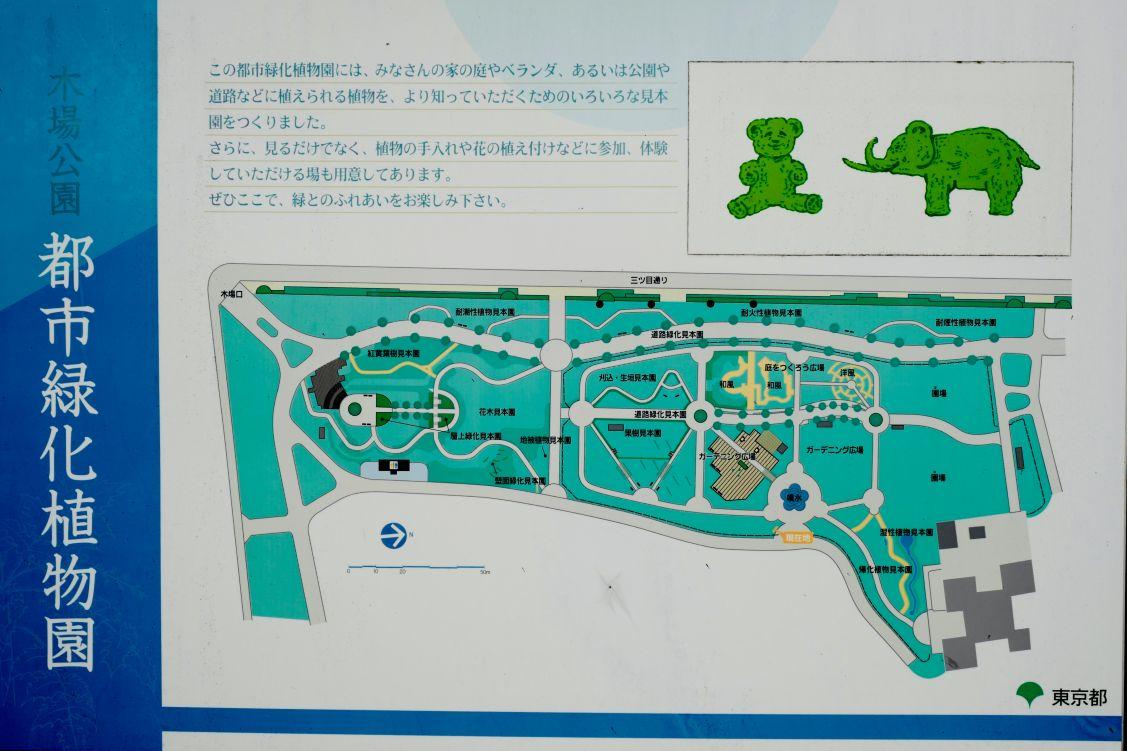 volunteerkatudoureport_kibakouentomonokai_resize_02