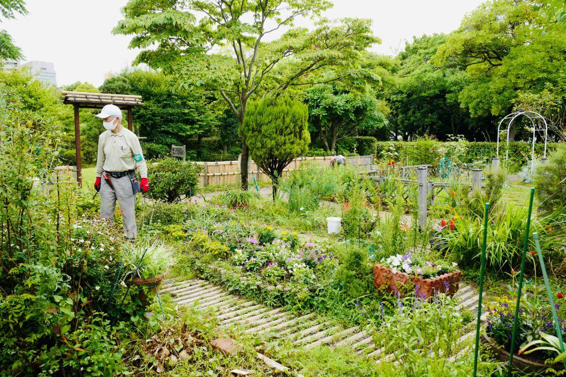 volunteerkatudoureport_kibakouentomonokai_resize_07
