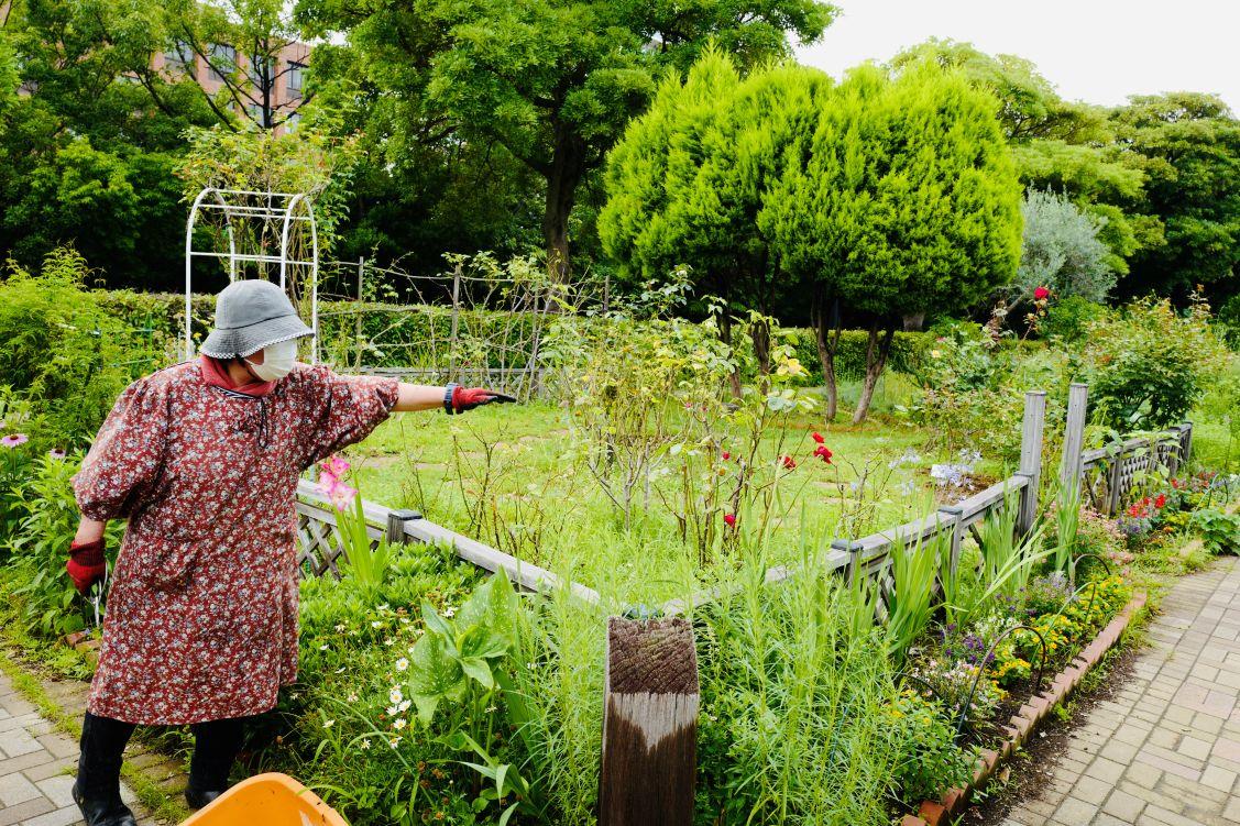 volunteerkatudoureport_kibakouentomonokai_resize_08