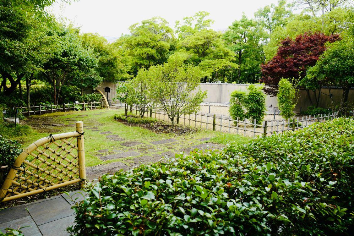 volunteerkatudoureport_kibakouentomonokai_resize_09