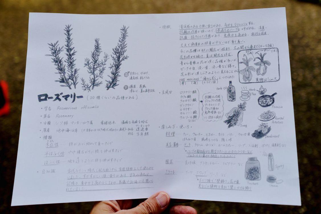 volunteerkatudoureport_ukitakouenherb_ (4)resize