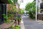 住宅地緑化の様子写真