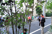 緑化施工済みの街並みを見学している写真