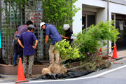 緑化施工実施写真