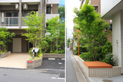 緑化施工済み住宅の写真