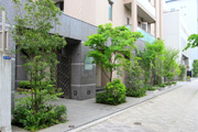 緑化施工後のマンションエントランス外観写真