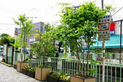 緑化施工後の緑豊かな歩道写真