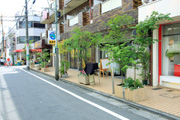 緑化施工後の街並み写真