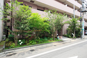 緑化施工後のマンション路面写真