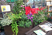 読書可能なベンチすぐ側の花壇の写真