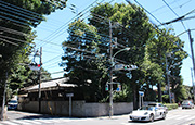三鷹市新川緑化実績写真