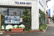 緑化施工後のガラスの大きな路面店の写真