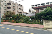 緑化施工後の大きな庭木が植わっている住宅の写真