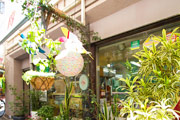緑化施工後のモール写真