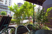 店舗から並木道を眺める写真