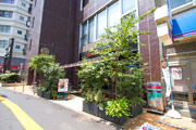 緑化施工後のテナントビル路面写真