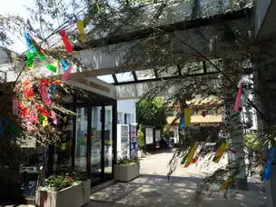 七夕飾りを設置しました_01