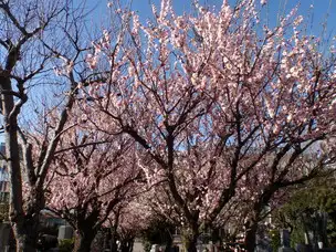 園内季節の花情報_02