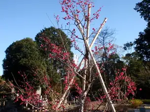 園内季節の花情報_03