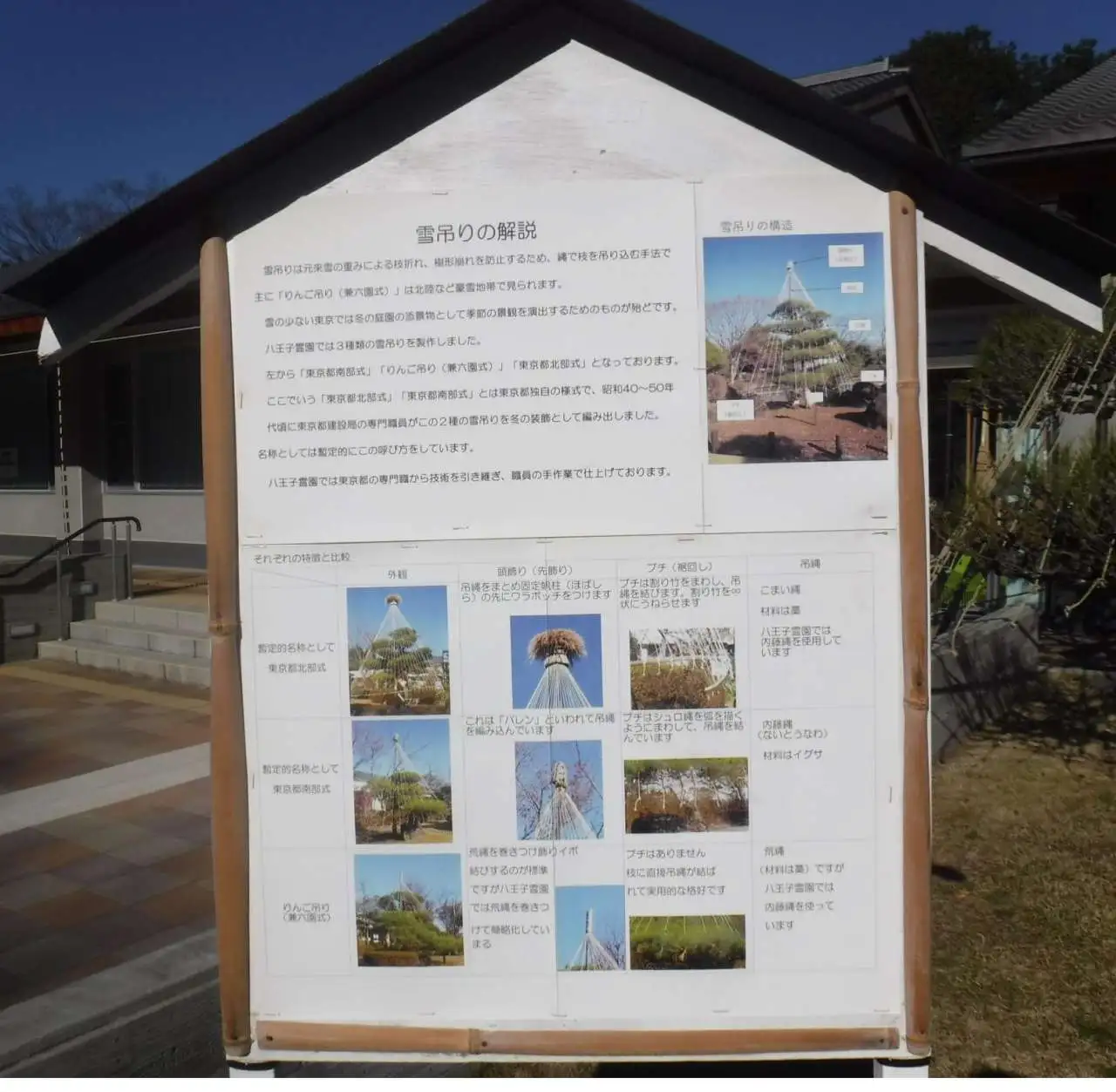 雪吊り解説