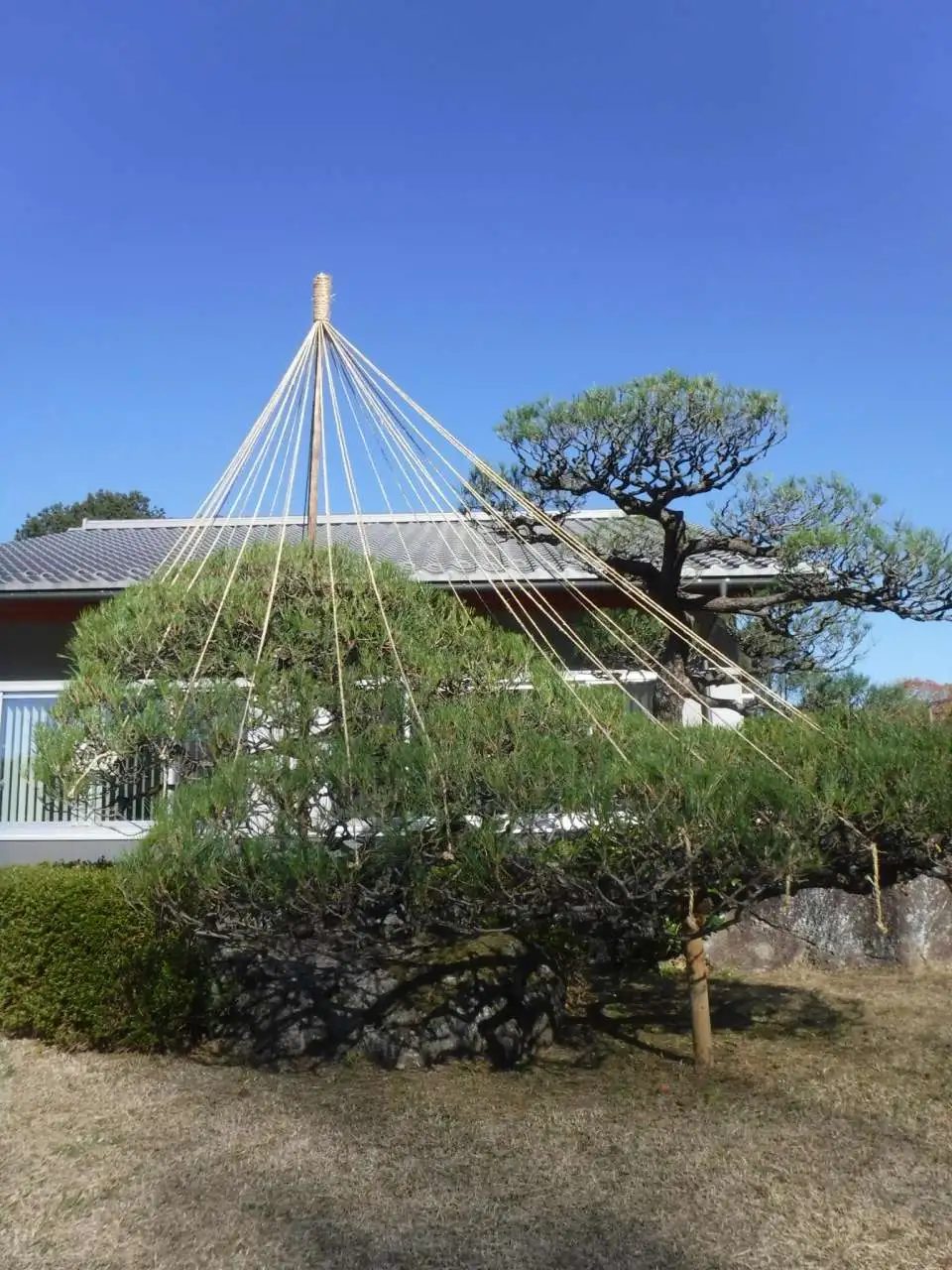 兼六園式