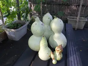 ひょうたん_04