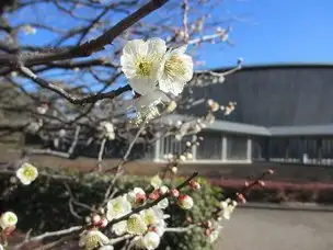 春のきざし_02