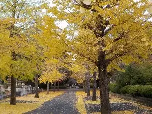 秋の風景_01