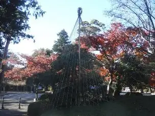 雪吊りを設置しました_02