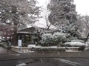 雪景色_01
