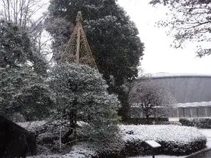 雪景色_02