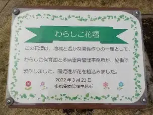 花壇を作りました_01