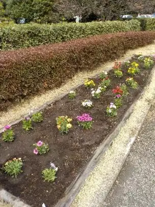 花壇を作りました_02