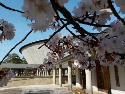 220401_sakura01