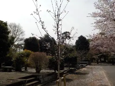 220406_sapo-ta-01