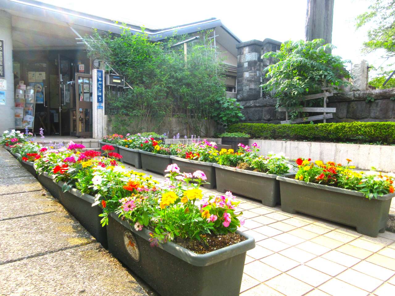 202406hanaue (10)