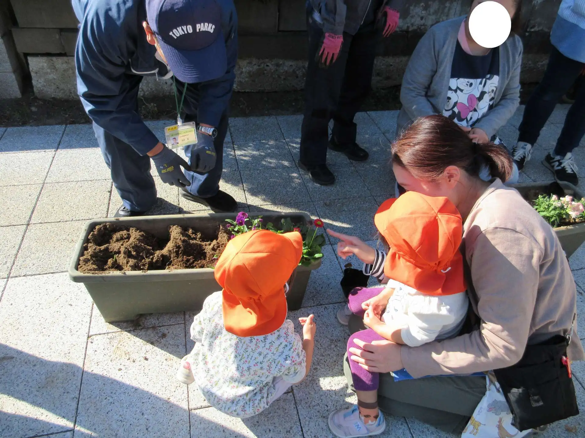 プランターにお花と球根を植えました_01