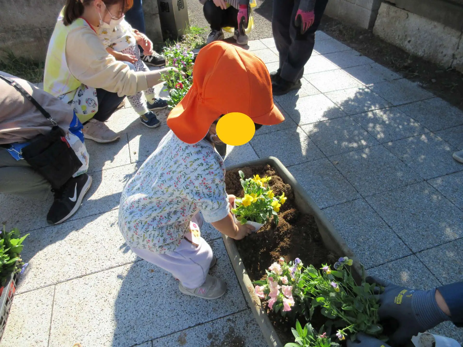 プランターにお花と球根を植えました_02