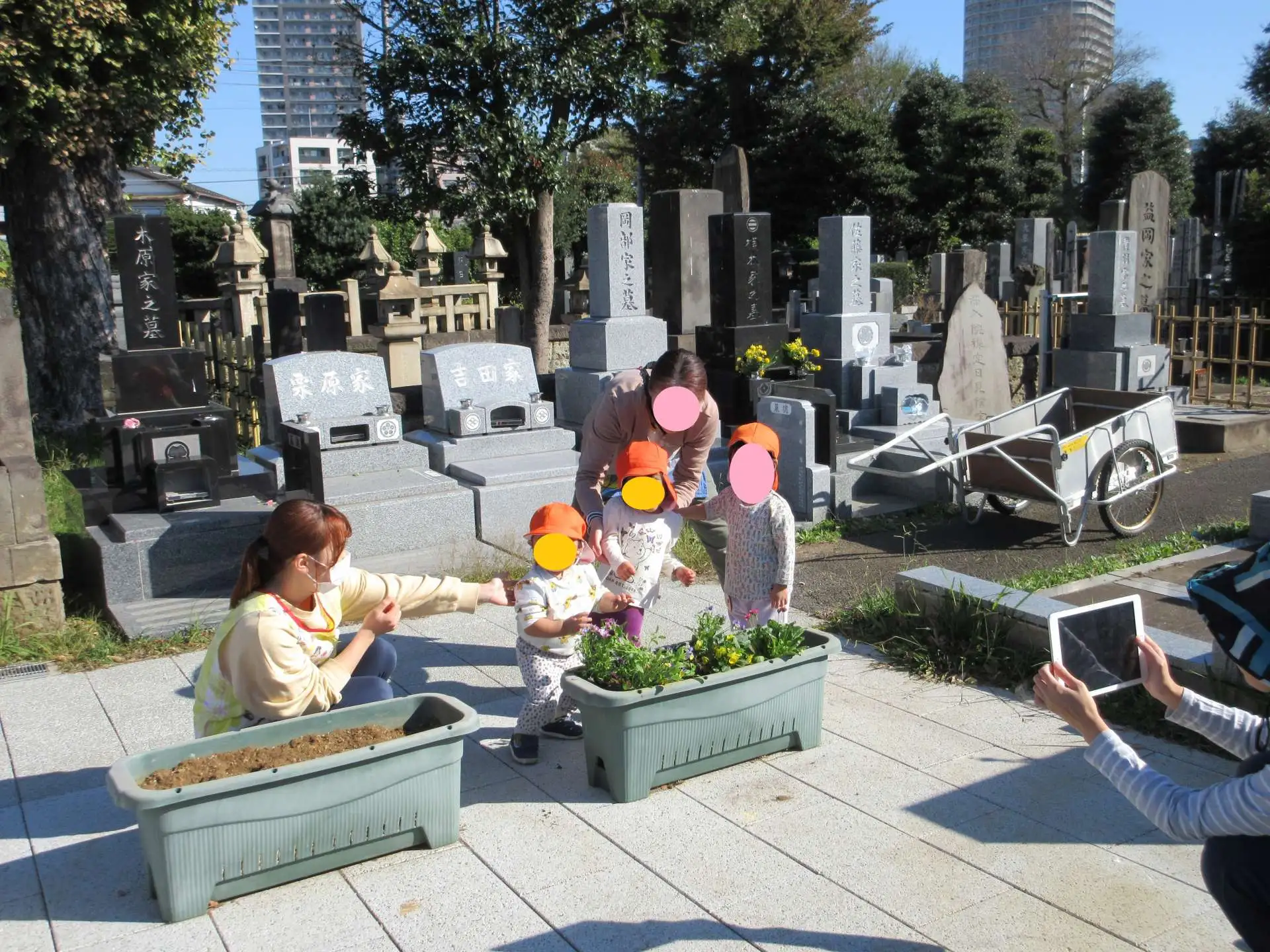プランターにお花と球根を植えました_04