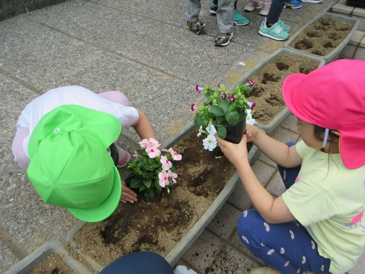 yanaka-hanaue1-20260612