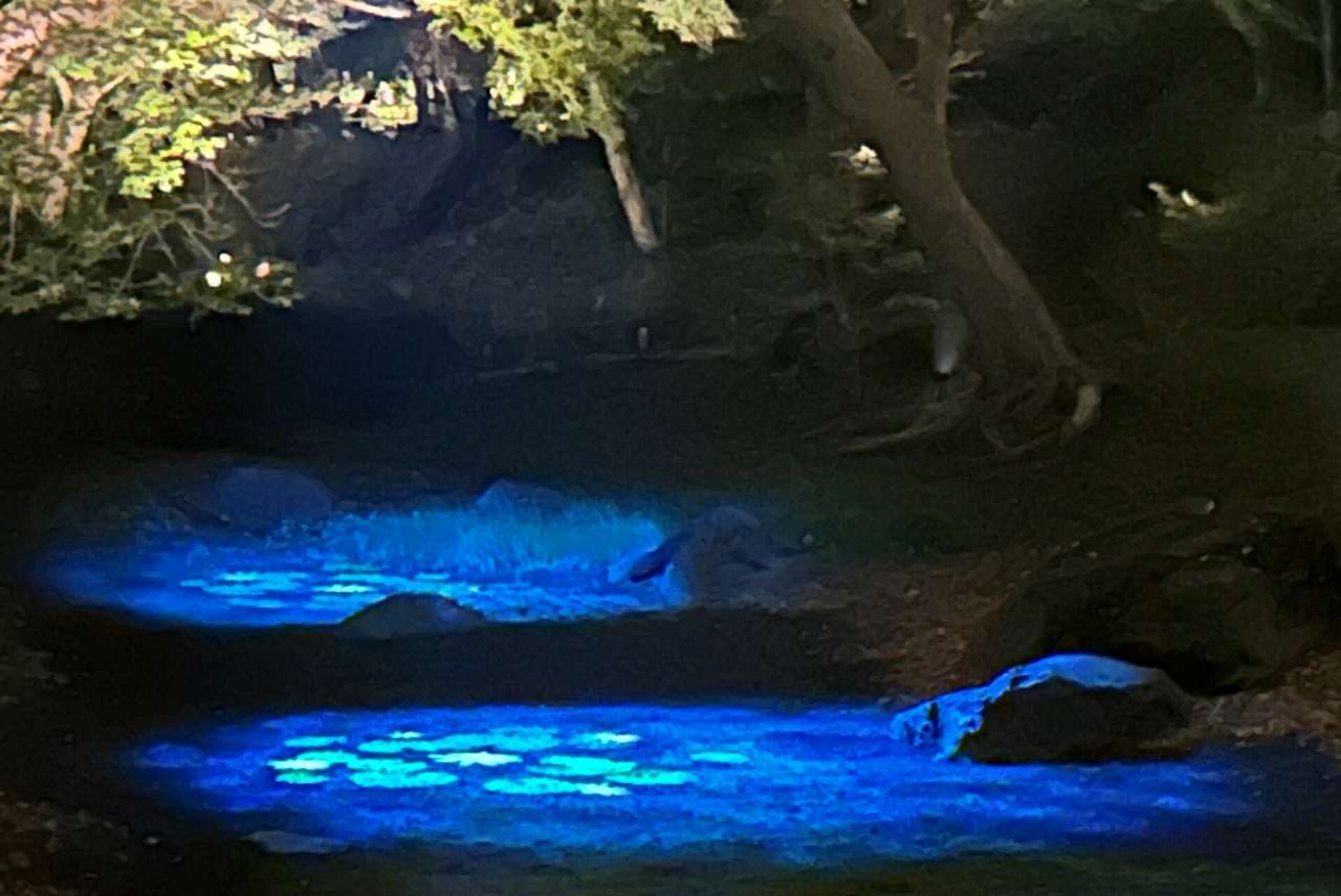水香江プロジェクション
