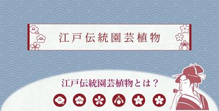 江戸園芸