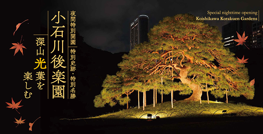 夜間特別開園「小石川後楽園　深山“光”葉を楽しむ」バナー